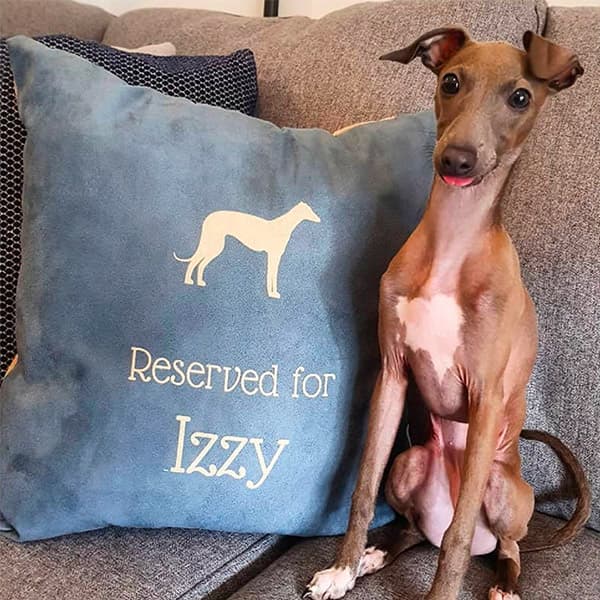 Izzy next to her Personalised Reserved For Cushion