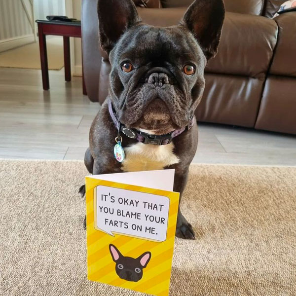Frenchie and his personalised yappy greeting card