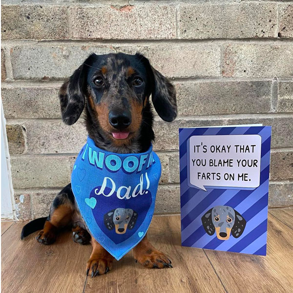Dachshund, Sausage dog and his personalised yappy greeting card