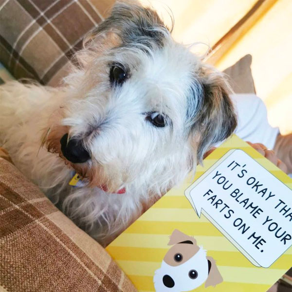 jack russell terrier and his personalised yappy greeting card