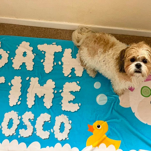 Bosco with personalised Bath Time Towel