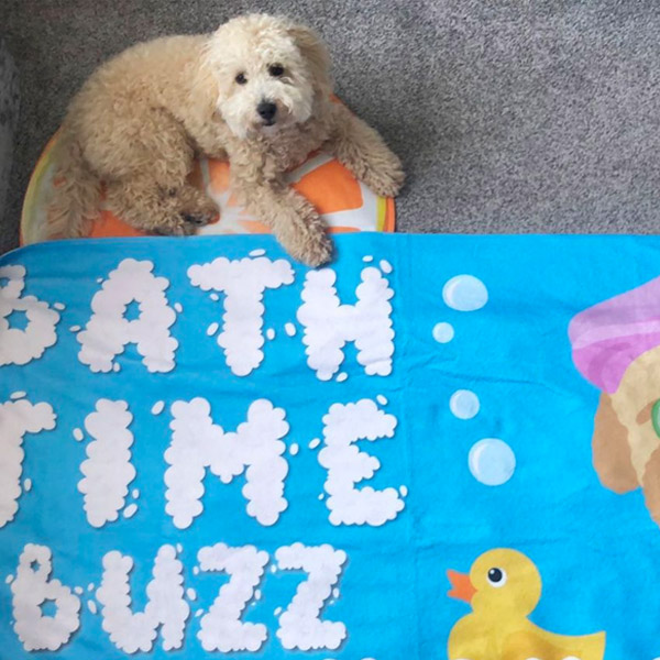Poochon with his personalised Bath Time Towel