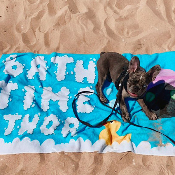 Frenchie with his personalised Bath Time Towel