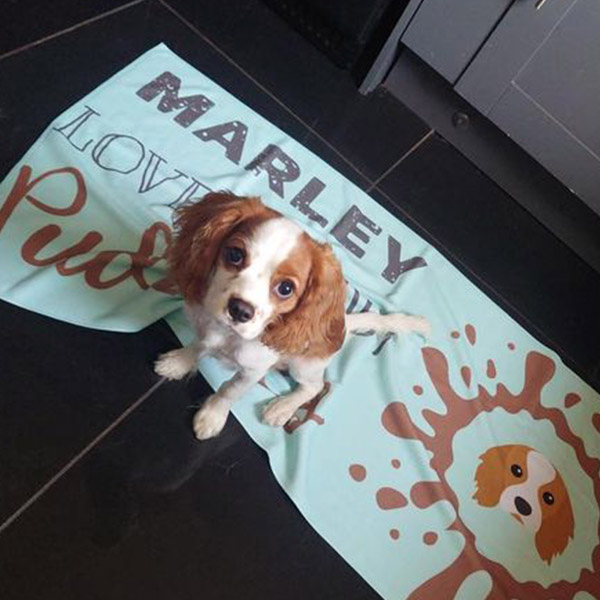 Marley with a Personalised Yappy Dog Towel