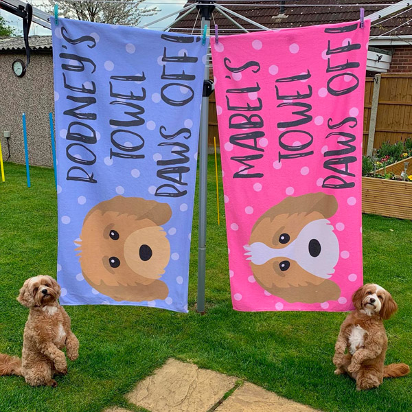 Cavapoo's and their personalised dog towels