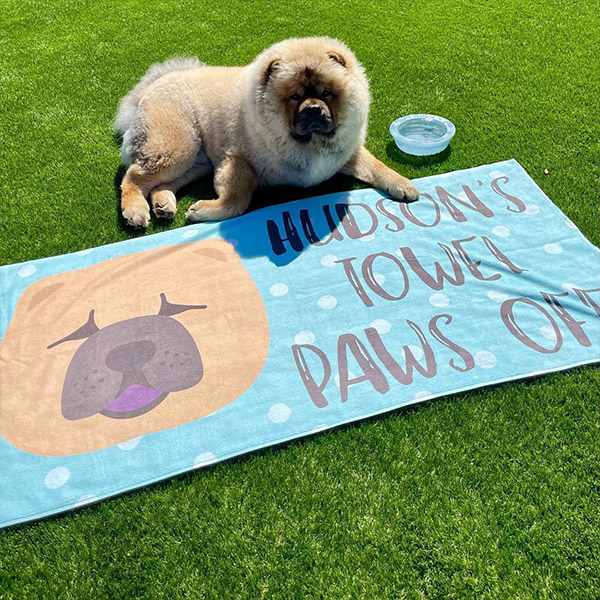 Personalised Dog Towel with Hudson the Chow Chow