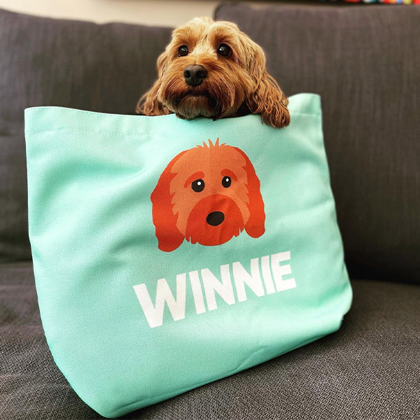 Cockapoo with personalised canvas bag