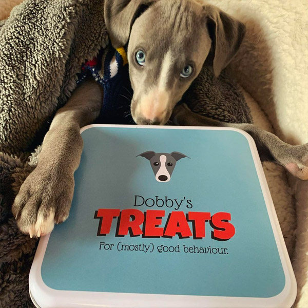 Dobby's personalised treat tin exclusive to yappy.com