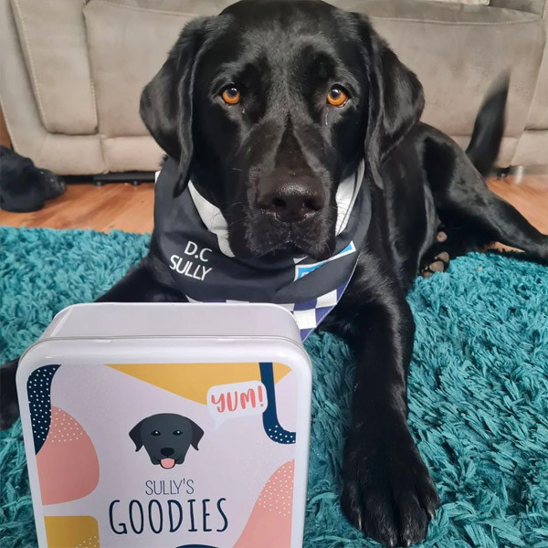 Sully the Lab with his personalised treat tin