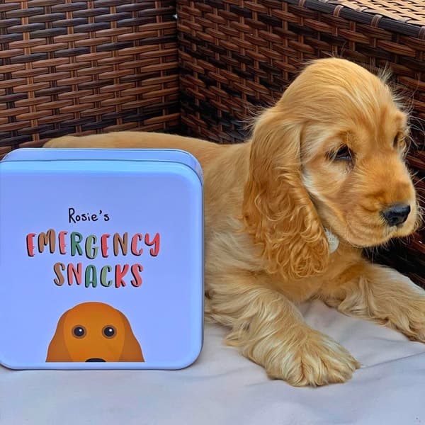 Rosie's Personalised Emergency Snacks Treat Tin