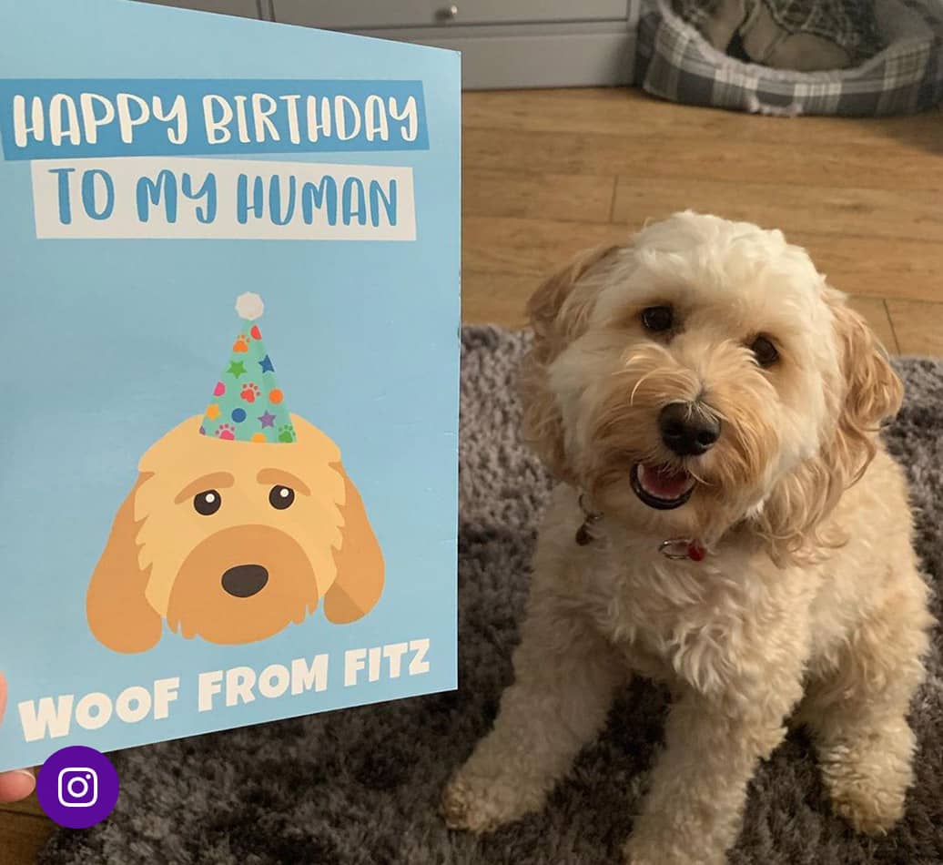 'Happy Birthday to My Human' - Personalised Dog Card | Yappy.com