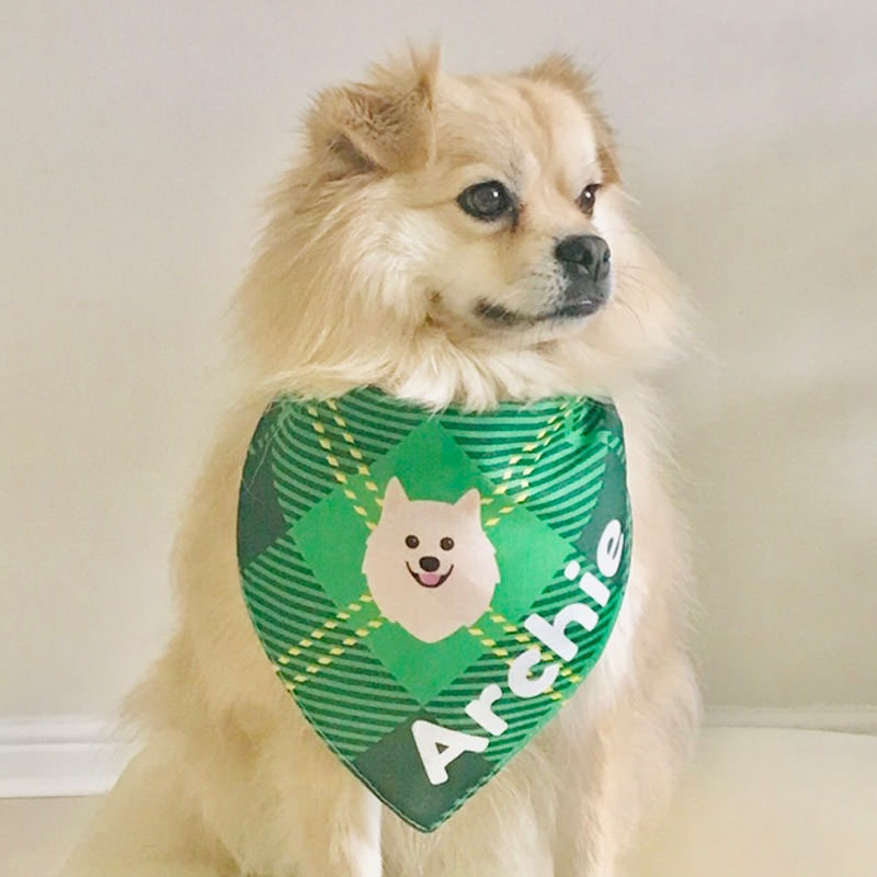 Archie with his Personalised Yappicon Bandana
