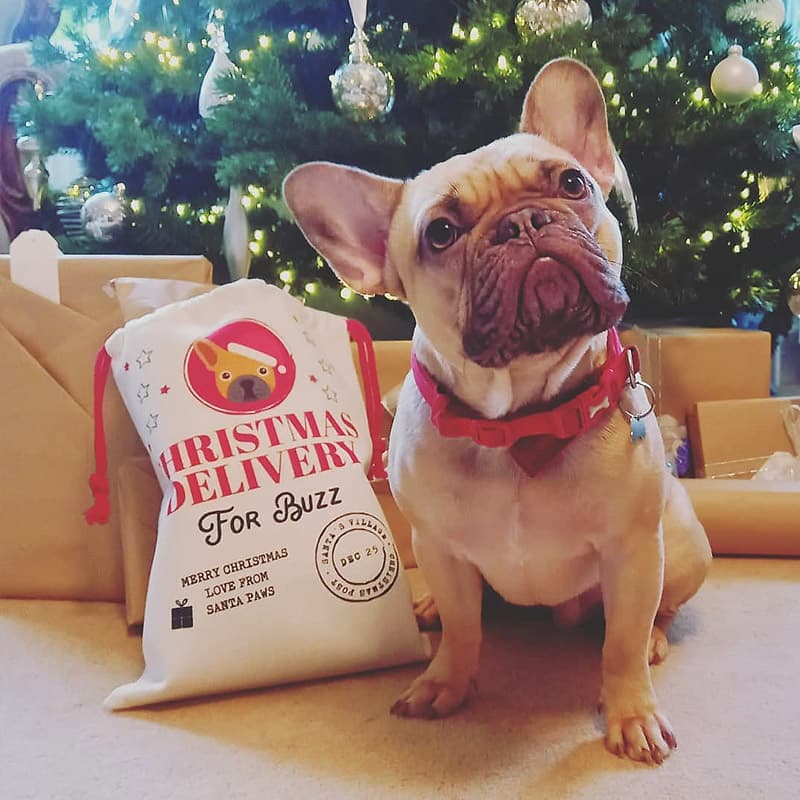 Buzz with a personalised Christmas santa sack