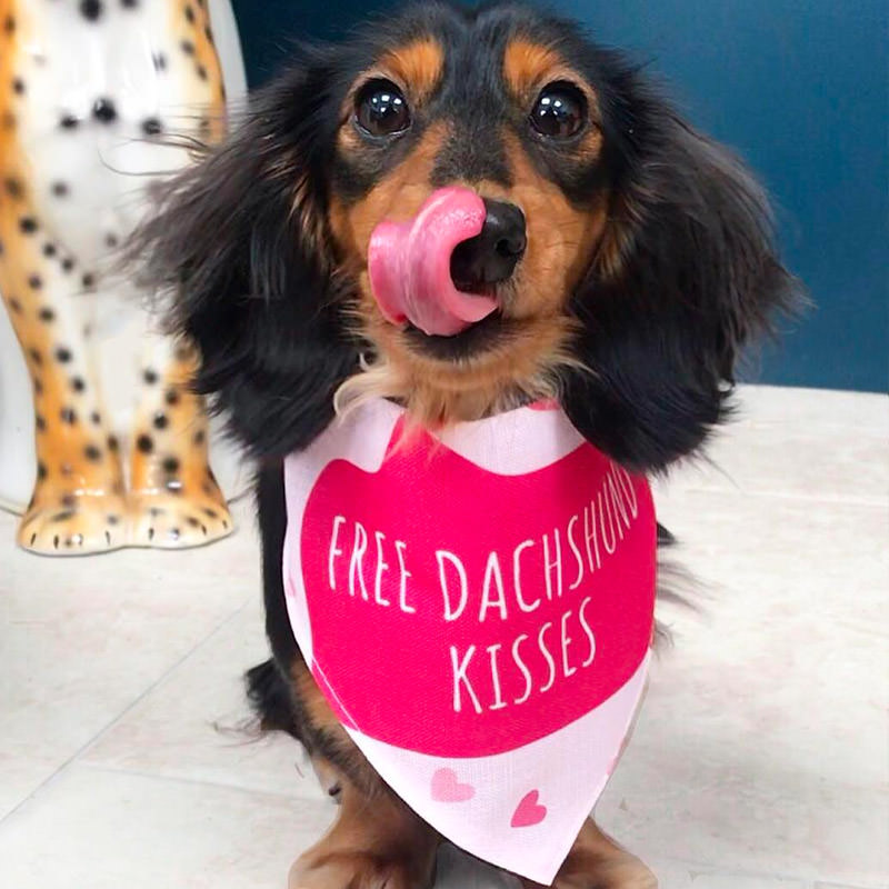 Digit with her Personalised Free Kisses Bandana