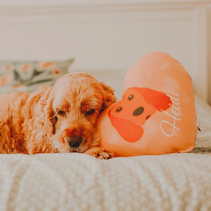 Heidi with her Personalised Heart Shaped Spaniel Cushion