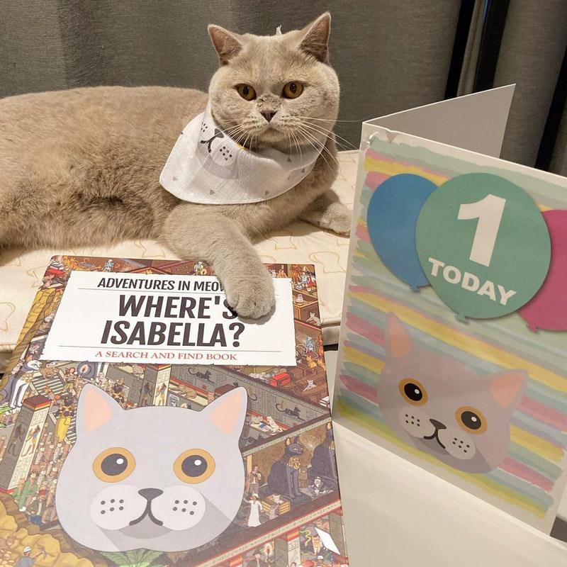 Isabella with Personalised Cat Birthday Gifts & Card