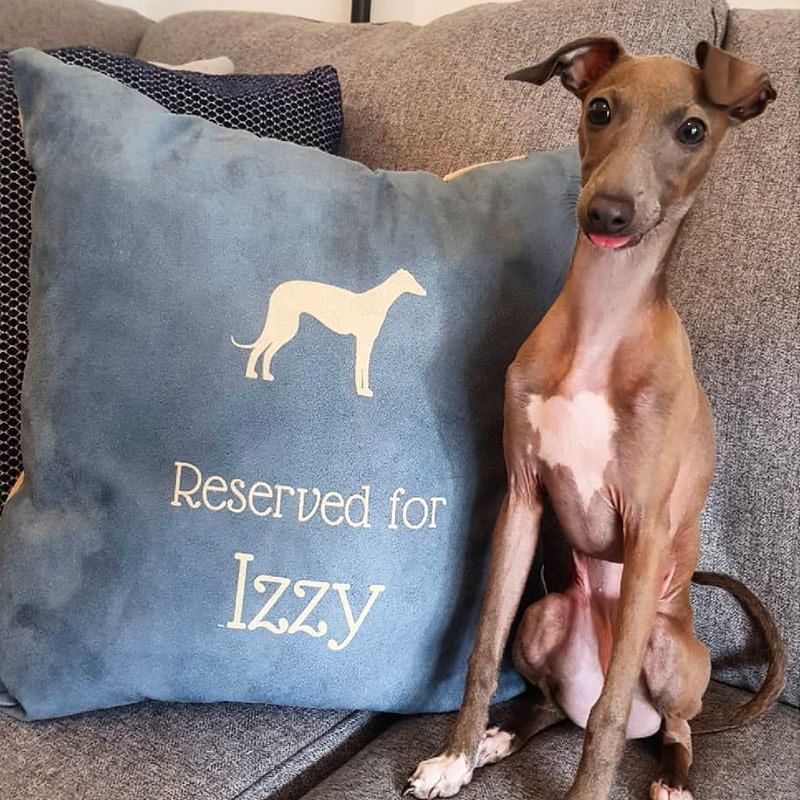 Izzy with her Reserved for Cushion