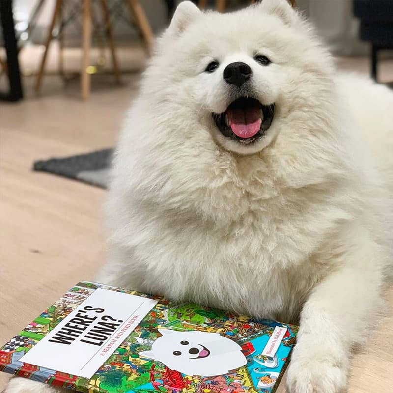 Luna with her Personalised Where's Luna Book