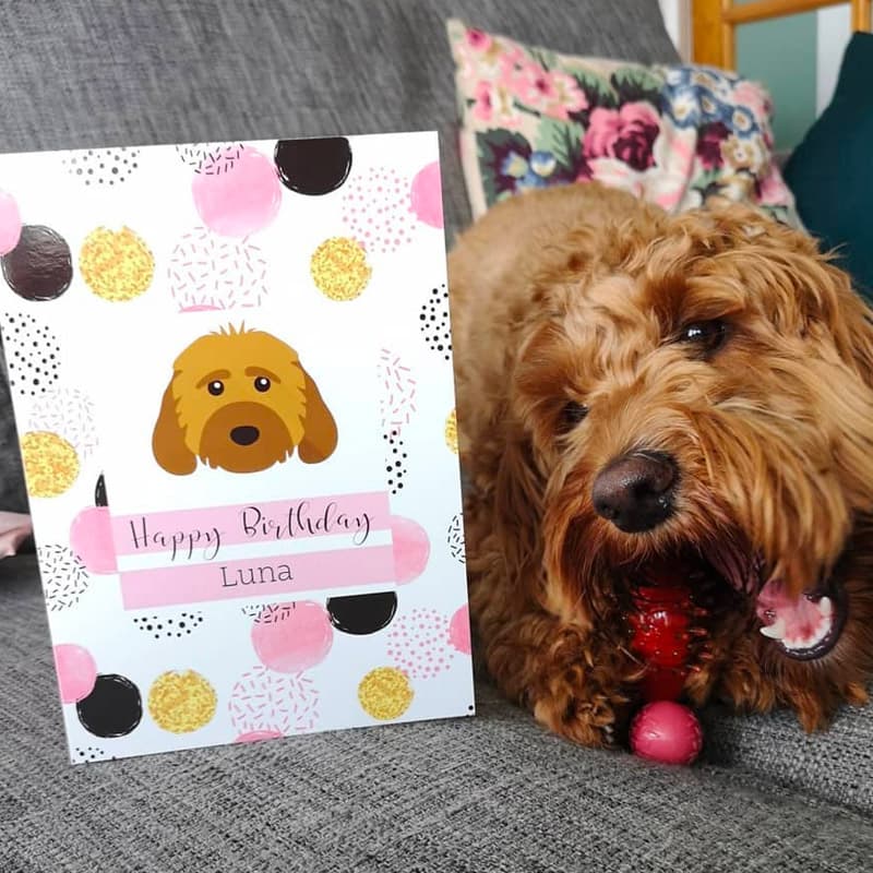 Luna with Personalized Happy Birthday Card