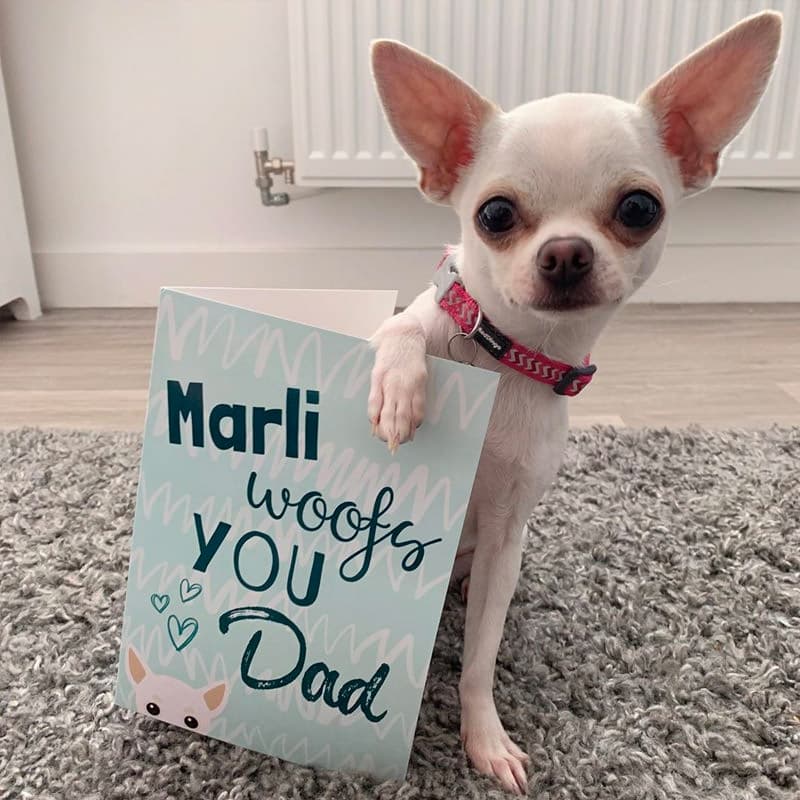 Marli & Personalised Chihuahua Card