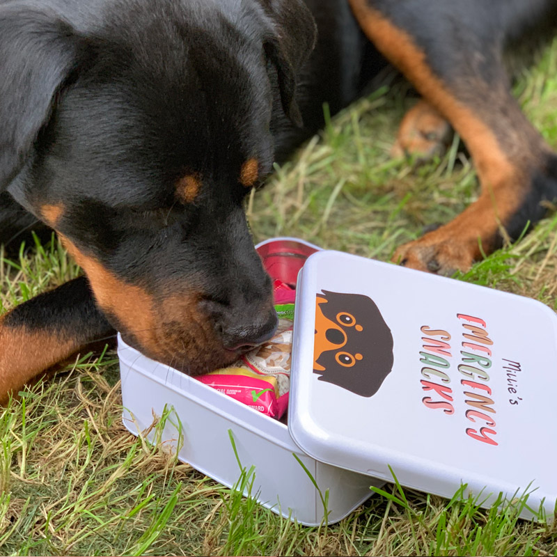 Millie with her Personalized Treat Tin
