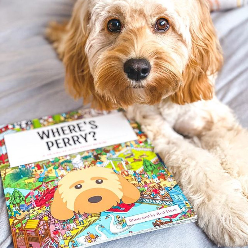 Perry with our Personalised Where's Book