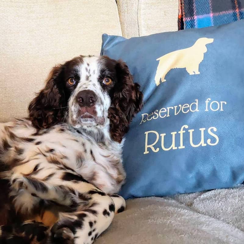 Rufus with Personalised Reserved For Dog Cushion