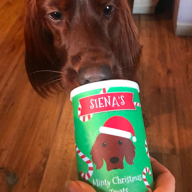 Siena with her Christmas Treats