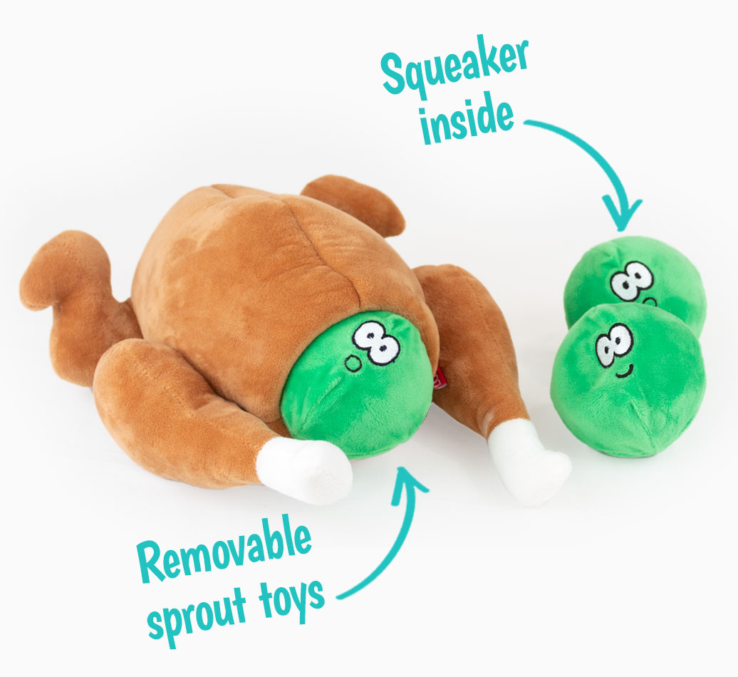 Stuffed Turkey Roast with Sprouts Dog Toy frot view