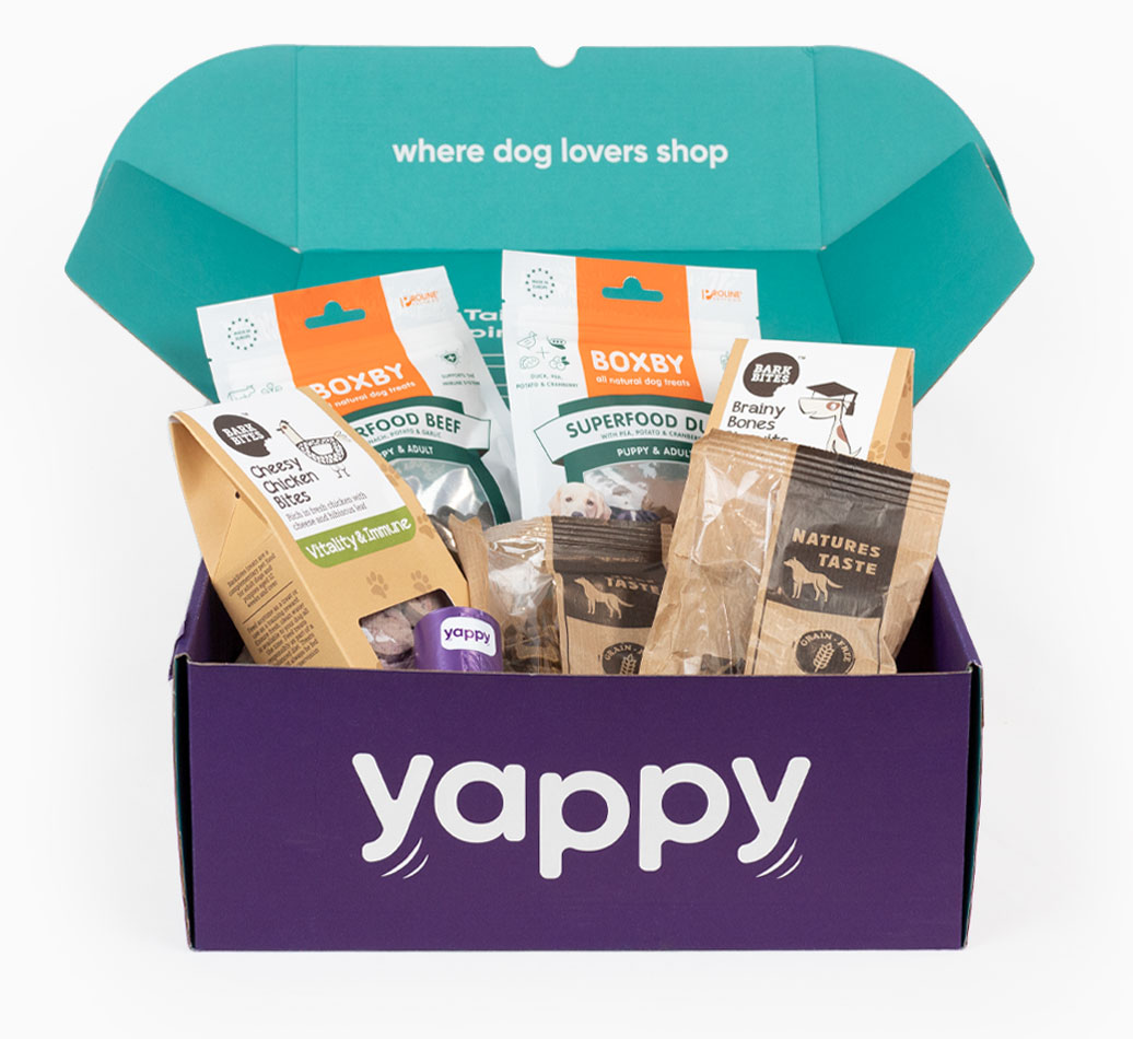 Yappy Superfood Treat Box for your Dog - front view