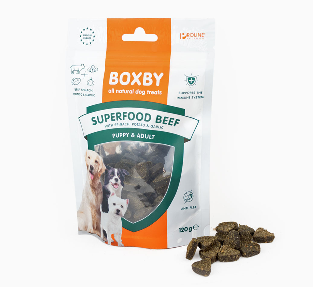 Superfood Beef Spinach Garlic Treats for your Dog - front view
