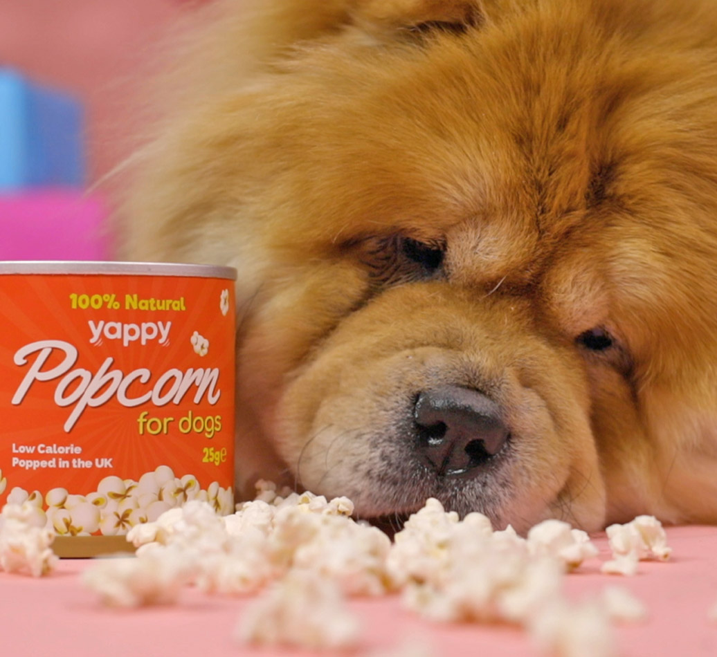 100 Natural Popcorn for your Dog