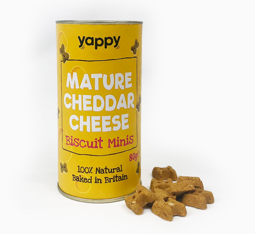 Mature Cheddar Mini Biscuits for your Dog - front view