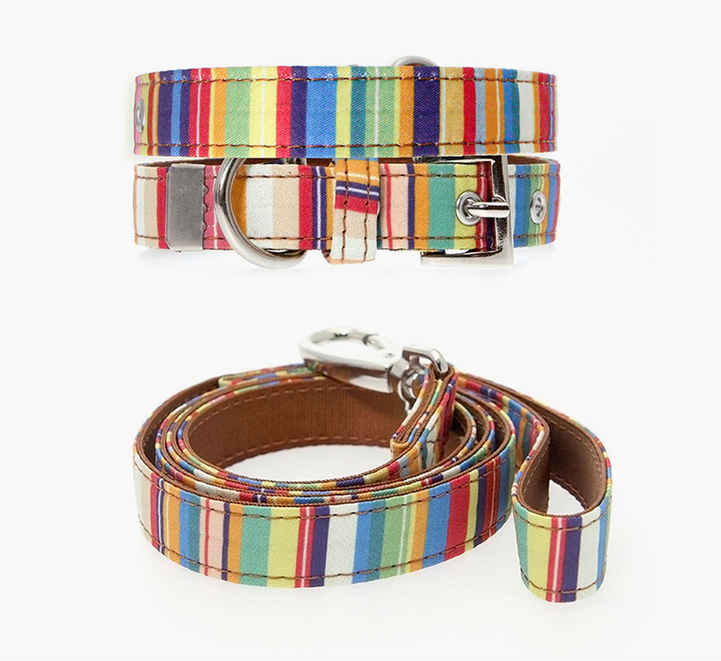Dog Urban Pup Henley Striped Fabric Collar & Lead Set