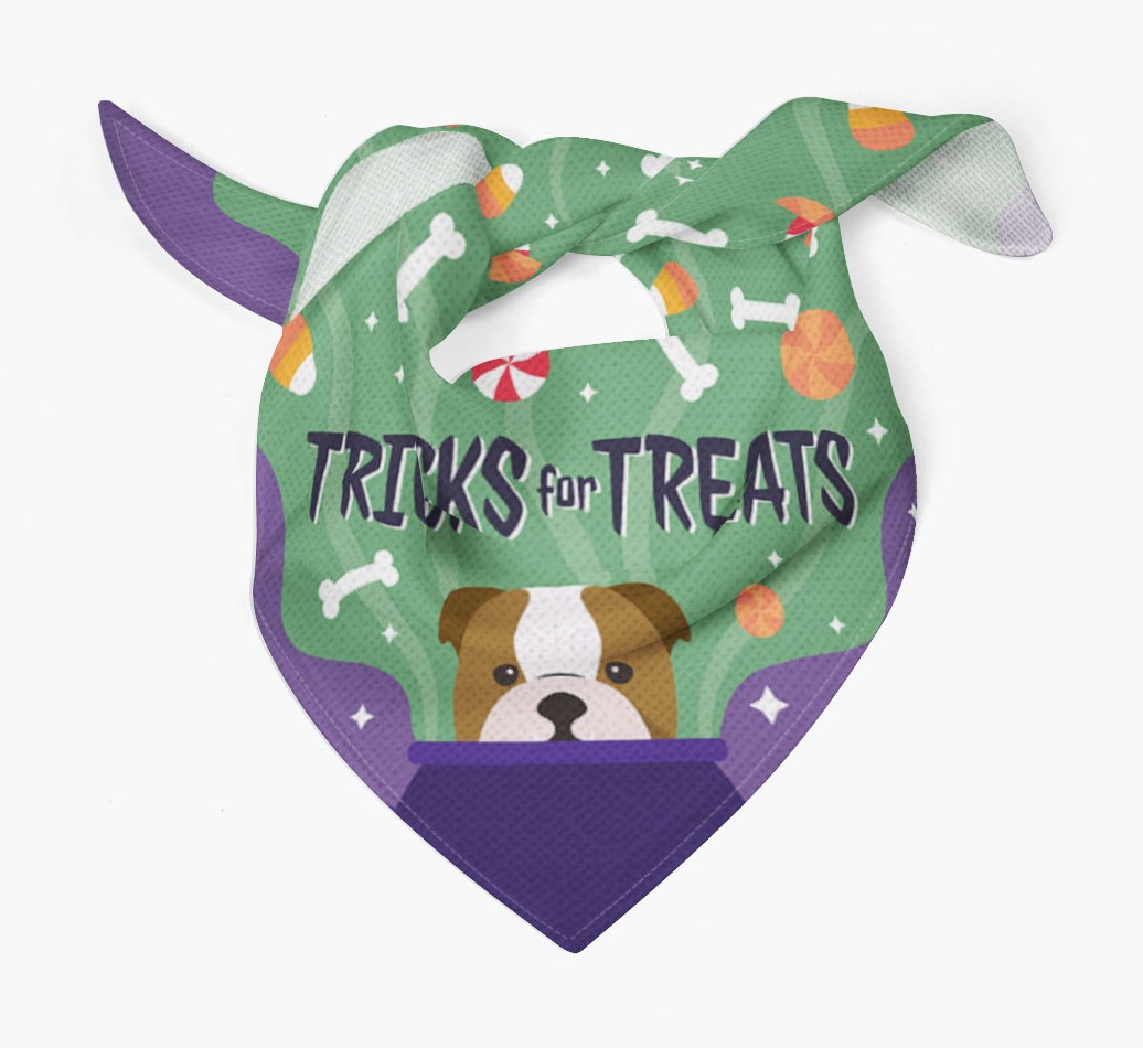'Tricks For Treats' Bandana with Icon of your English Bulldog Tied