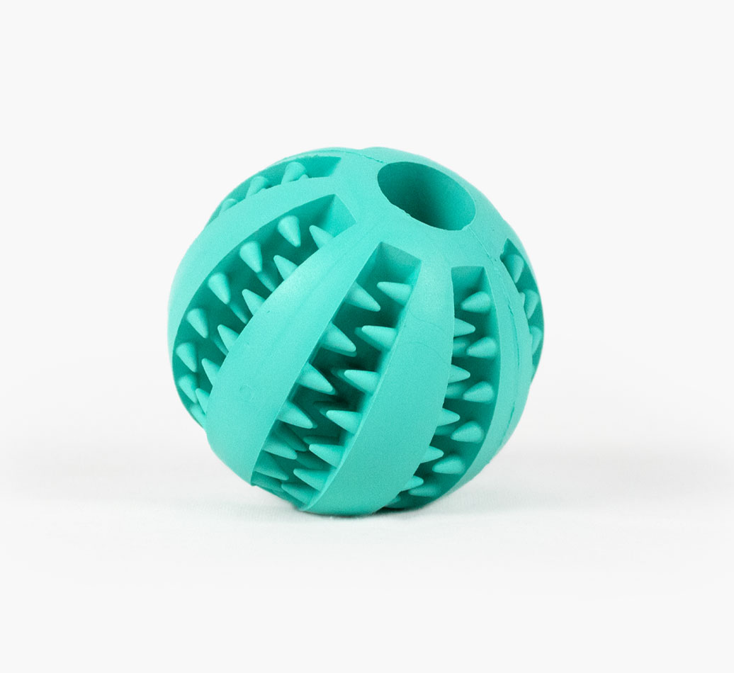 Toothy Treat Toy for your Dog - front view
