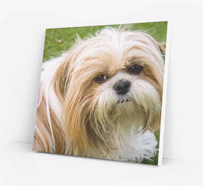 Personalised Shih Tzu Wall Art | Yappy.com