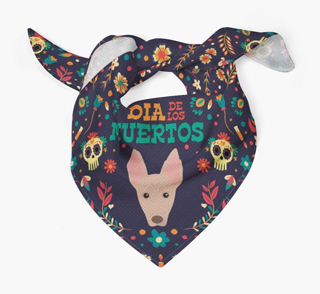 'Dia De Los Muertos' - Personalized Mexican Hairless Bandana