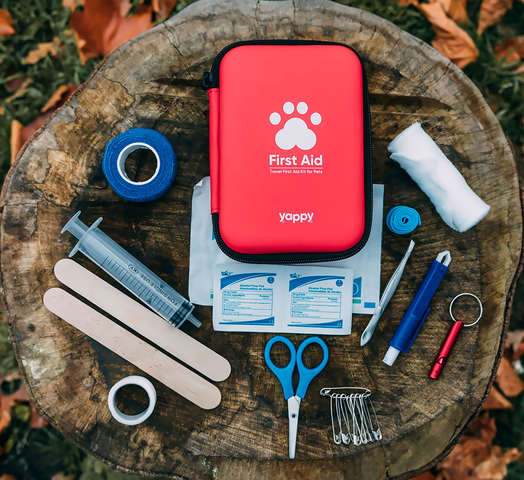 Pet First Aid Kit for your Schipperke - contents spread out