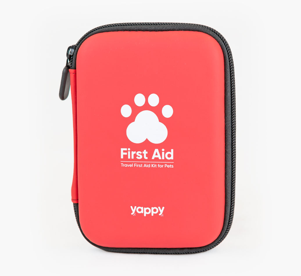 Pet First Aid Kit for your Cat - front view
