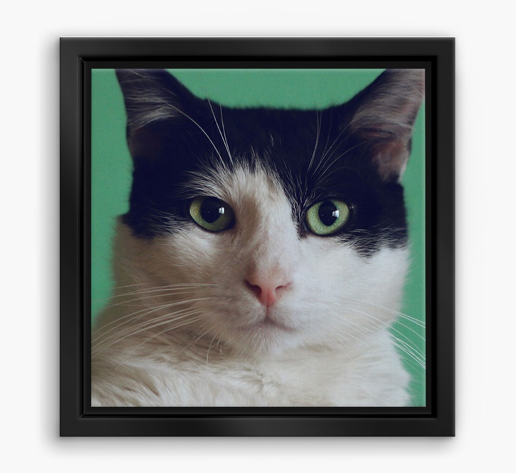 Photo Upload Cat Boxed Canvas Print