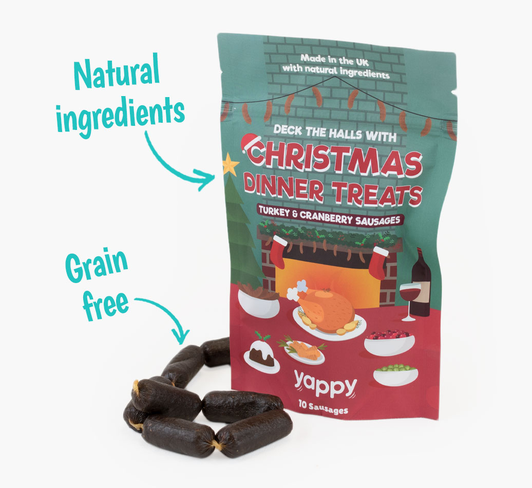 Christmas Diner Dog Treats for your Dog - front view
