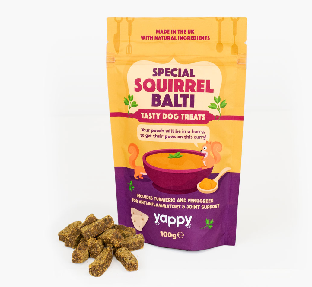 Squirrel Balti Dog Treats for your Dog} - front view