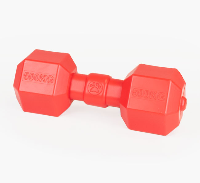 Dumbbell Dog Toy for your Miniature Schnauzer