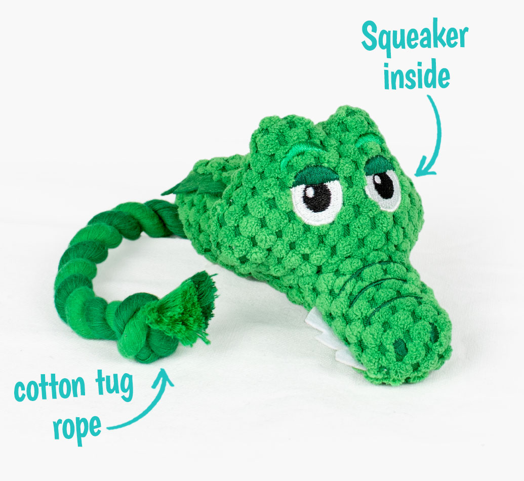 Gator Raider Toy for your Border Terrier} - open