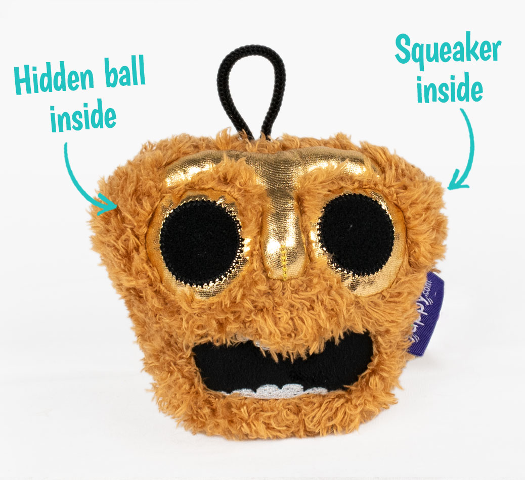 Golden Idoodle Toy for your Australian Kelpie - features