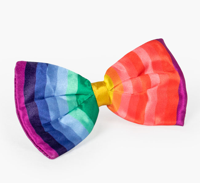 Rainbow Bowtie for your Whippet