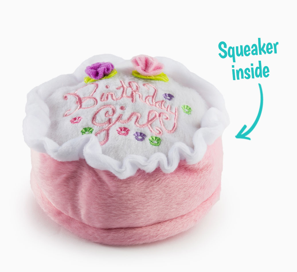 'Birthday Girl' Cake Toy for your Dog 'Squeaker Inside'