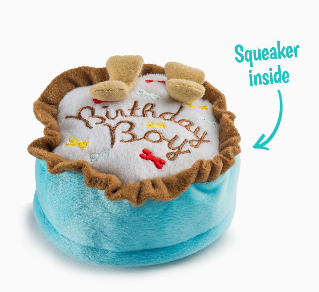 'Birthday Boy' Cake Toy for your Dog 'Squeaker Inside'