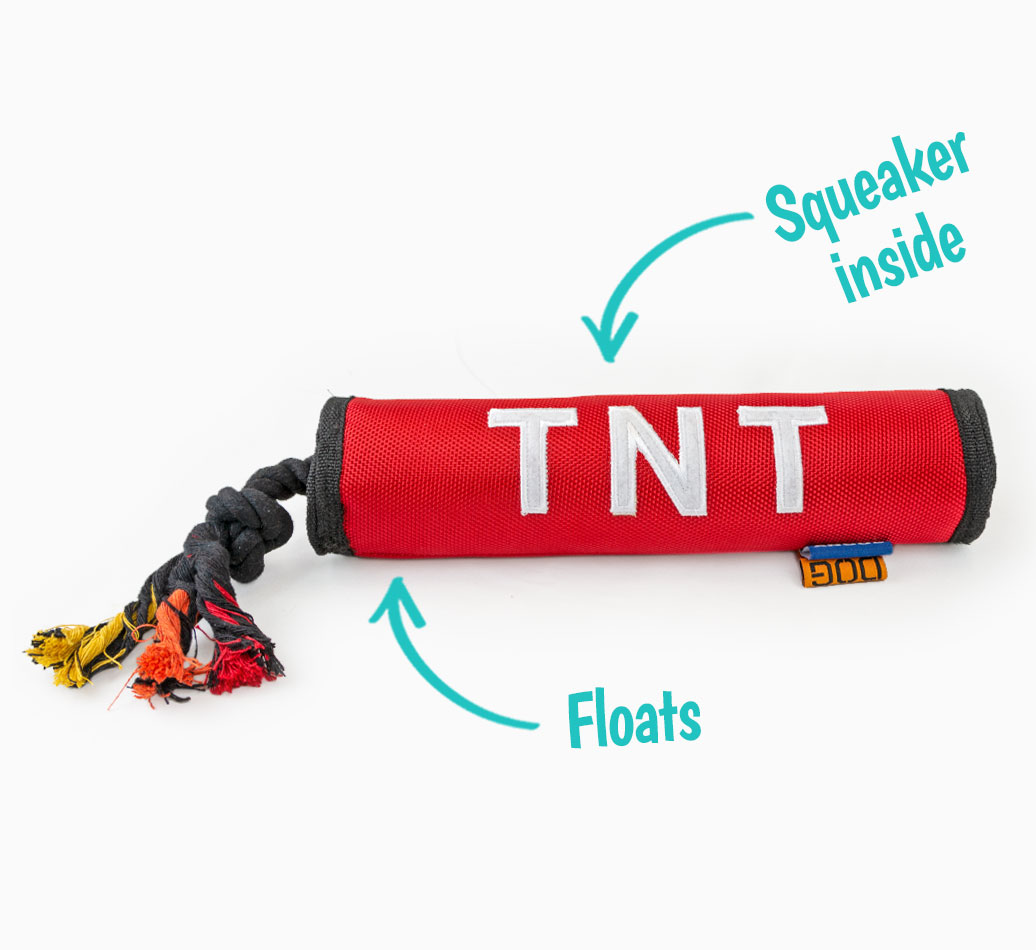 TNT Dog Toy